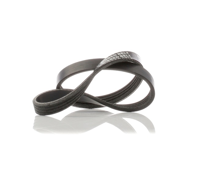 STARK SKPB-0090059: Multiriem 613mm, Ribbenaantal: 4