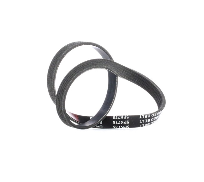 STARK SKPB-0090151: Courroie Poly-V 778mm, Nombre de gorges: 5