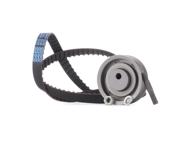 STARK SKTBK-0760019: Kit de distribution Nbr. dents: 124, 1181mm, avec boulon, avec écrou