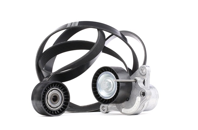 DAYCO KPV217 Jeu de courroies trapézoïdales à nervures RENAULT ESPACE 4 (JK0/1) 173 CV Diesel coût