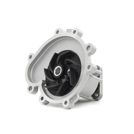 DOLZ P500: Pompe à eau