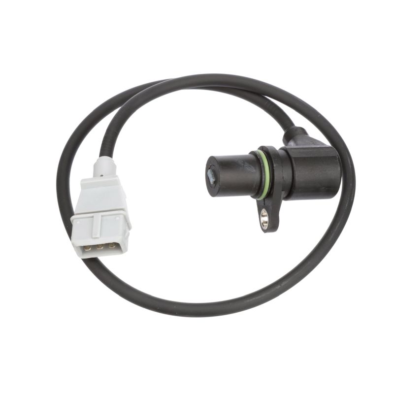 DELPHI SS11019: Krukassensor