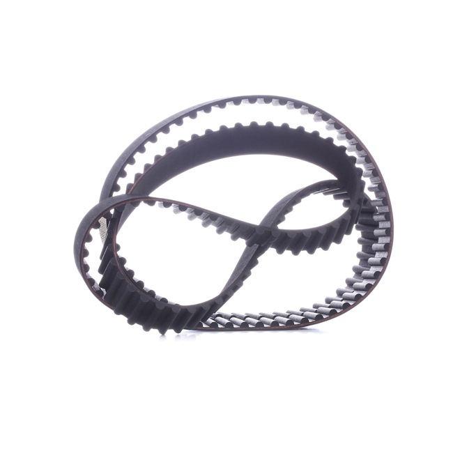 STARK SKTIB-0780137: Correia dentada N.º dentes: 153, 1457mm