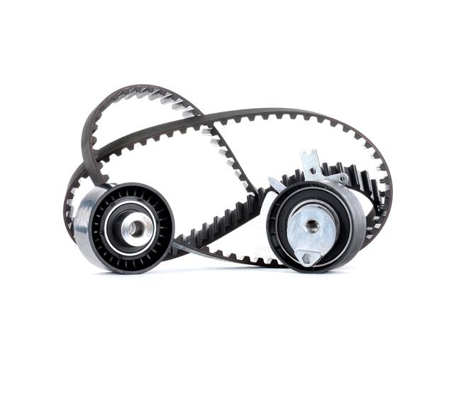 STARK SKTBK-0760125: Kit de distribution Nbr. dents: 116, 1105mm