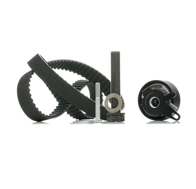 STARK SKTBK-0760129: Kit cinghia di distribuzione 1162mm, con materiale di fissaggio/montaggio, N° denti 1: 122