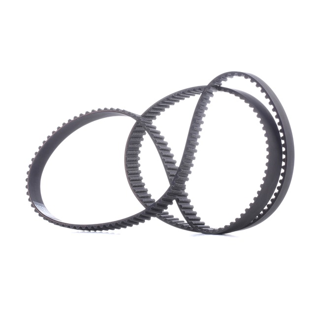 STARK SKTIB-0780147: Correia dentada N.º dentes: 194, 1559mm