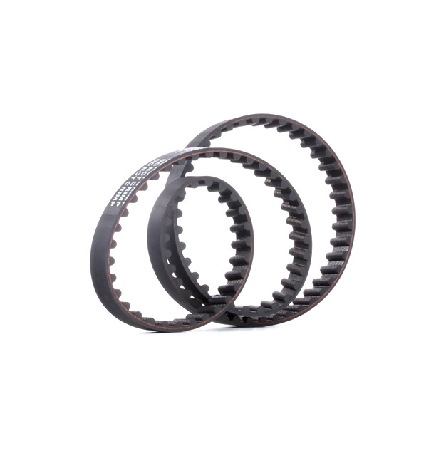 STARK SKTIB-0780151: Correia dentada N.º dentes: 100