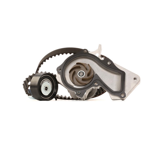 STARK SKWPT-0750053: Kit cinghia distribuzione, pompa acqua N° denti: 117, Largh.: 22mm, con pompa acqua