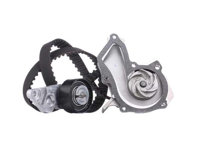 STARK SKWPT-0750067: Kit cinghia distribuzione, pompa acqua N° denti: 117, Largh.: 22mm, con pompa acqua