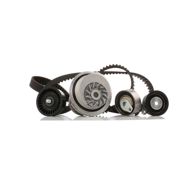 STARK SKWPT-0750069: Kamremssats med vattenpump Kuggar: 169, B: 20, 22, 25mm, med tillbehör, med vattenpump