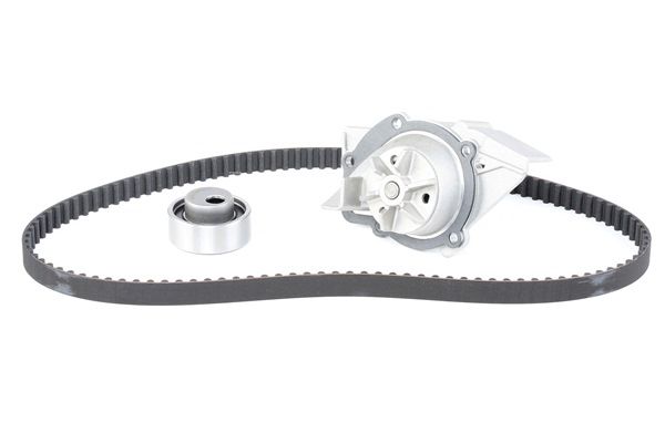 STARK SKWPT-0750074: Kit cinghia distribuzione, pompa acqua N° denti: 114, Largh.: 17,0mm, con pompa acqua