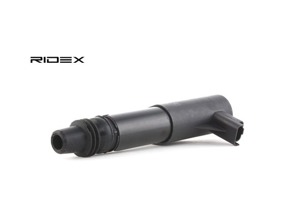 RIDEX 689C0020 Zündspule CITROЁN C5 II Break (RE_) 207 PS Benzin Kosten