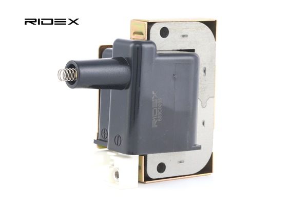 RIDEX 689C0038: Bobine 2-polig