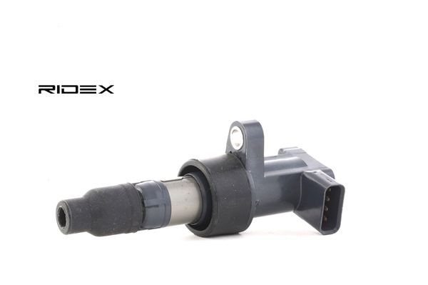 RIDEX 689C0055: Bobine