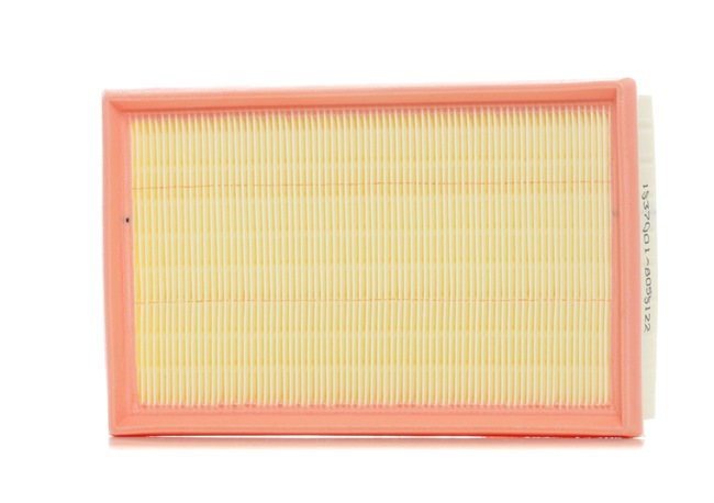 RIDEX 8A0270: Gaisa filtrs