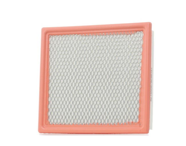 RIDEX 8A0301 Luftfilter LANCIA FLAVIA Cabriolet (JS) 175 HK Benzin hvad koster
