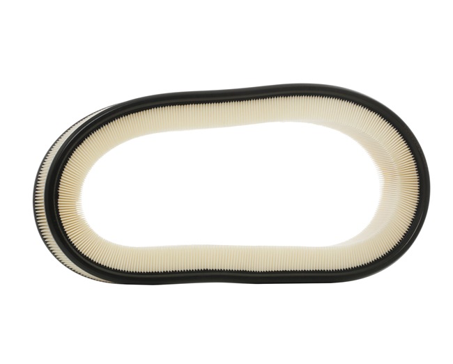 RIDEX 8A0195: Luftfilter