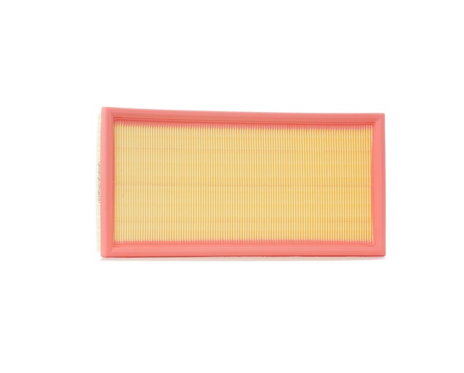 RIDEX 8A0305: Oro filtras
