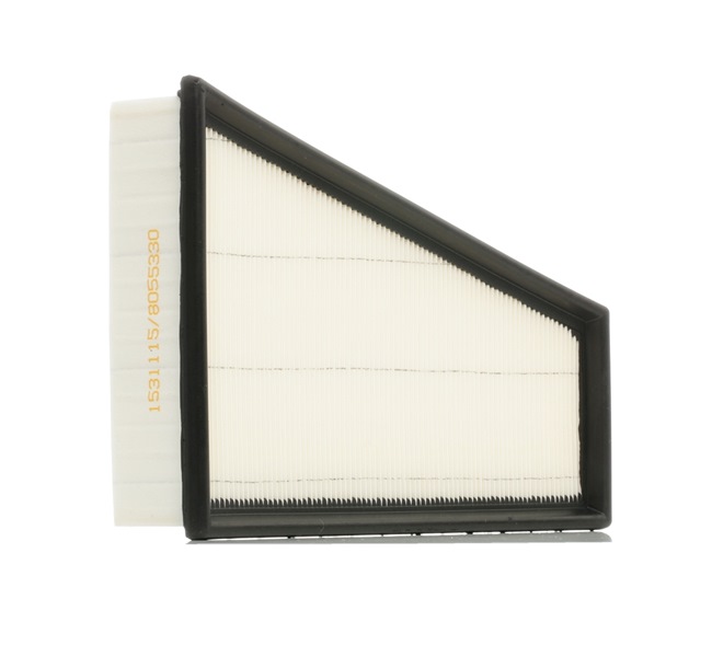 RIDEX 8A0377: Gaisa filtrs