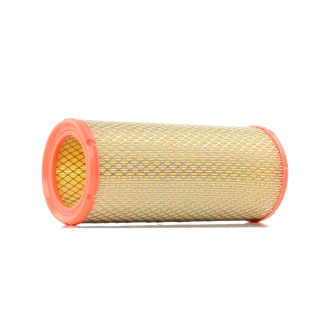 RIDEX 8A0366: Luftfilter mit Schutzgitter