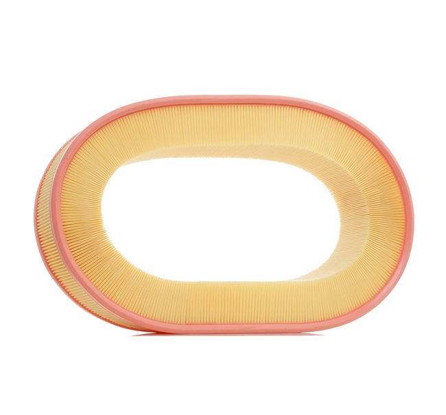 RIDEX 8A0368 Oro filtras MERCEDES-BENZ SL (R107) 200 AG benzinas kaina