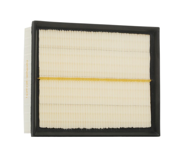 RIDEX 8A0347 Luftfilter LAND ROVER Range Rover 2 (P38A) 228 PS Benzin Kosten