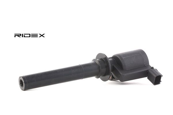RIDEX 689C0072: Zapalovací cívka 12V, 2pólová