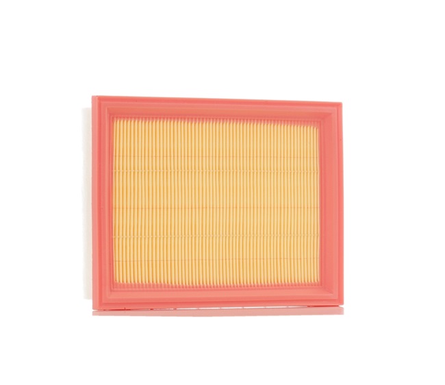 RIDEX 8A0404: Luftfilter mit Vorfilter