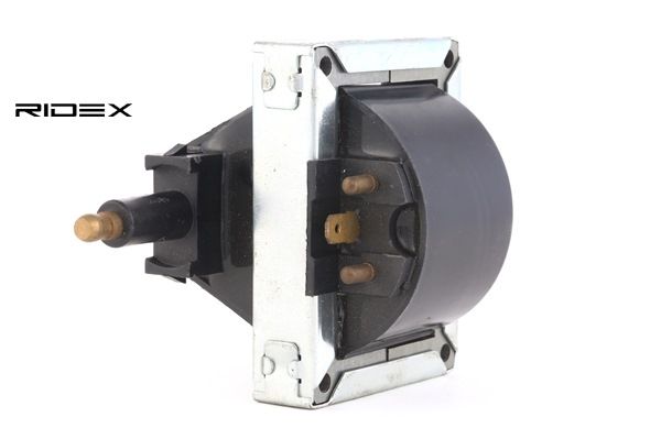 RIDEX 689C0087: Bobine 2-polig