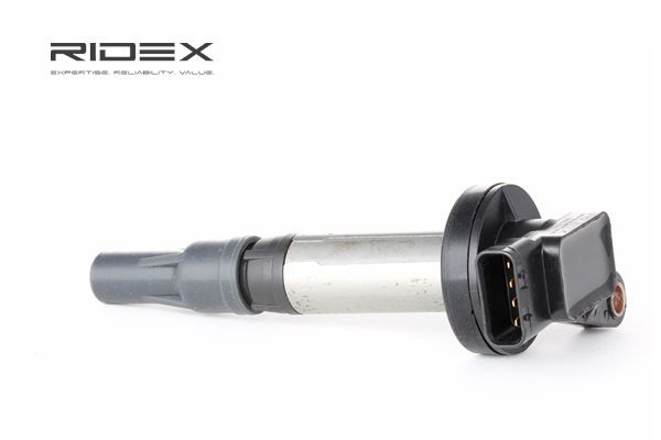 RIDEX 689C0092 Запалителна бобина LAND ROVER Range Rover Sport (L320) 390 K.C. бензин цена