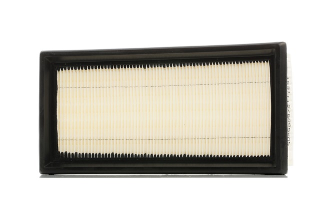 RIDEX 8A0360: Vzduchový filtr