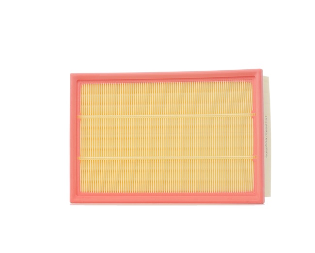 RIDEX 8A0311: Filtro aria