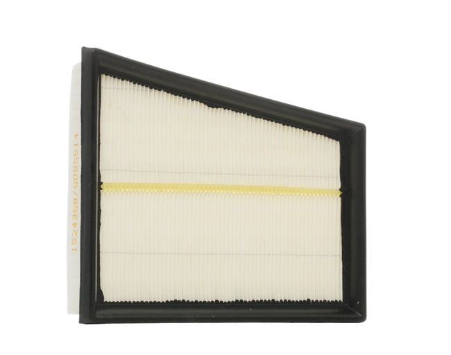 RIDEX 8A0465: Luftfilter