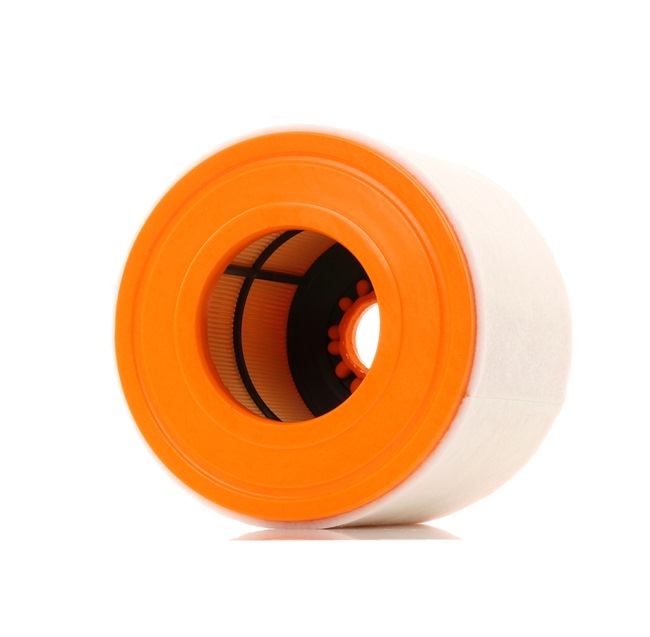 RIDEX 8A0403: Filtro de aire con filtro previo