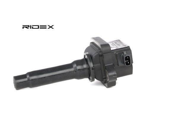 RIDEX 689C0103: Bobina de ignição 12V