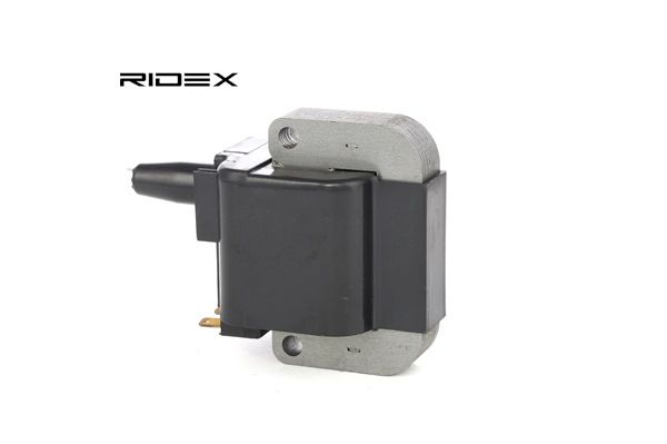 RIDEX 689C0117: Bobine 12V, 2-polig