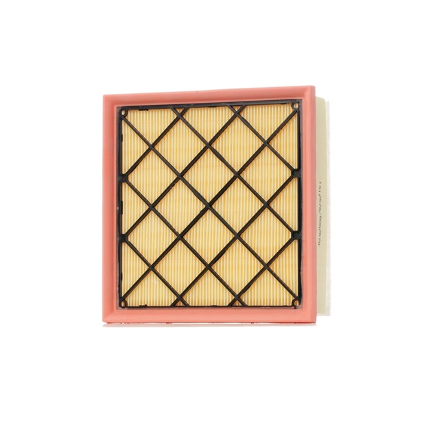 RIDEX 8A0515: Luftfilter mit integriertem Gitter, mit Vorfilter