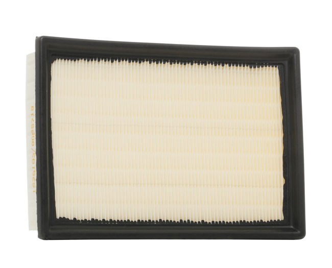 RIDEX 8A0474: Filtr powietrza