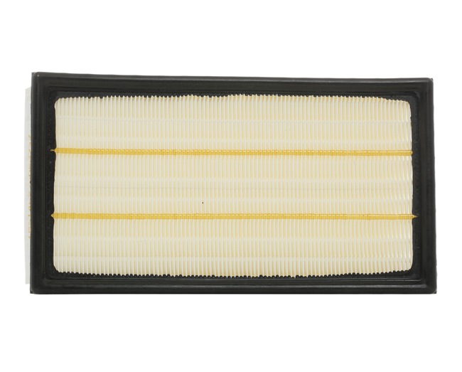 RIDEX 8A0423 Filtro de ar JAGUAR S-Type (X200) 396 cv Gasolina custo