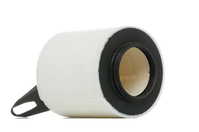RIDEX 8A0407 Gaisa filtrs BMW 3 Touring (E91) 122 ZS Benzīns cena