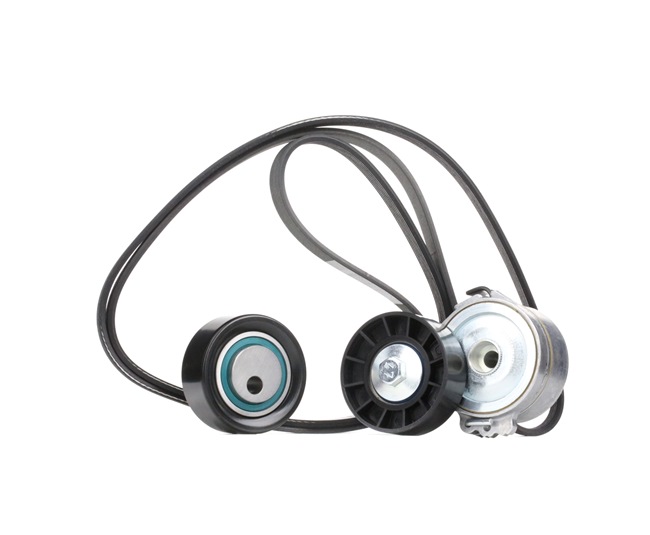 STARK SKRBS-1200001: Poly V-riem set