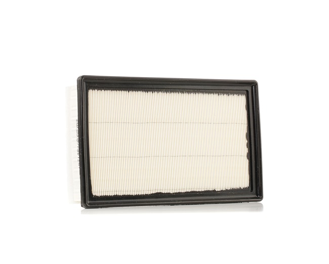 RIDEX 8A0442: Luftfilter mit Vorfilter