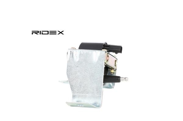 RIDEX 689C0263: Bobine 2-polig