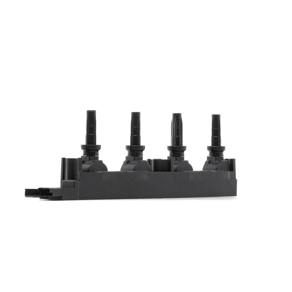 RIDEX 689C0256: Süütepool