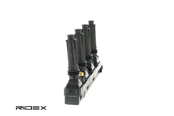 RIDEX 689C0248: Süütepool 12V