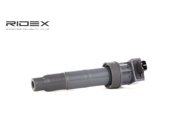 RIDEX 689C0193: Zündspule 12V