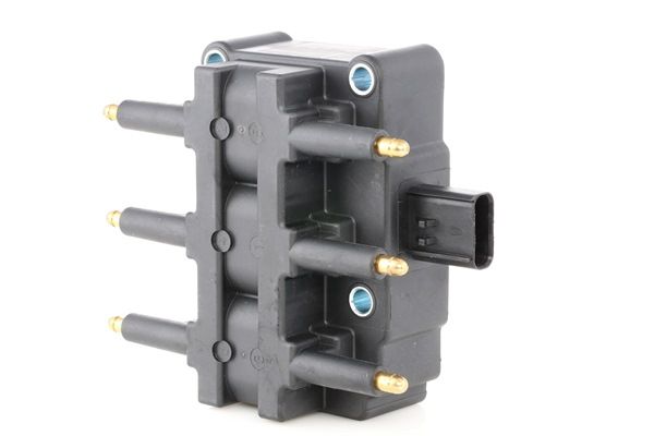 RIDEX 689C0192 Aizdedzes spole CHRYSLER VOYAGER 4 (RG, RS) 174 ZS Benzīns cena