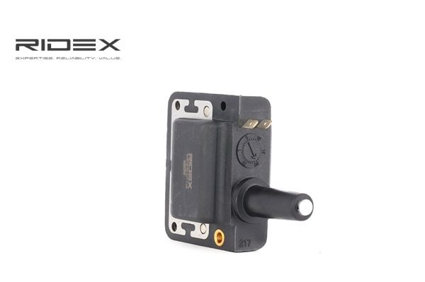 RIDEX 689C0181: Bobine