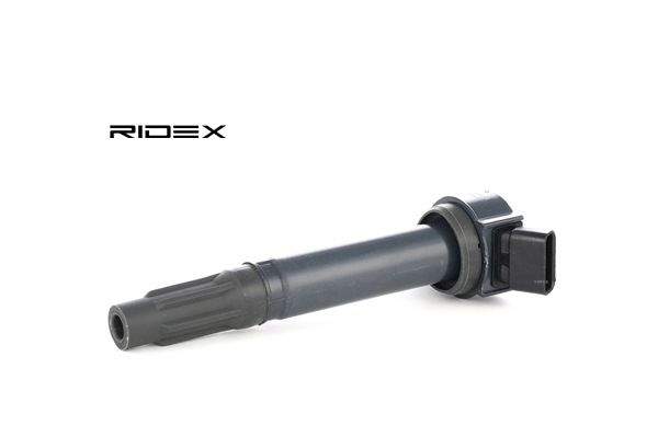 RIDEX 689C0166: Süütepool 12V, 4-poolsus