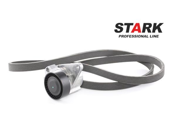 STARK SKRBS-1200008 Keilrippenriemensatz VOLVO S60 I (384) 140 PS Benzin Kosten